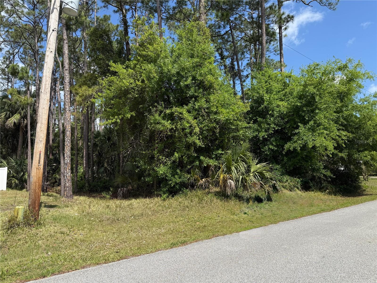 19 Wasserman Dr Property Photo 2