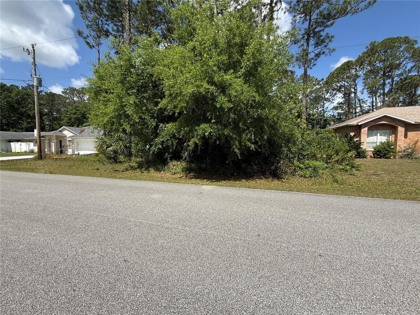 19 Wasserman Dr Property Photo 5