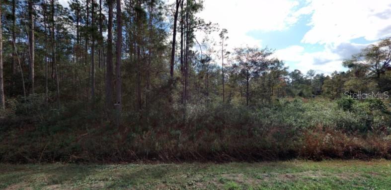 Alvin (tract 2019) St Property Photo