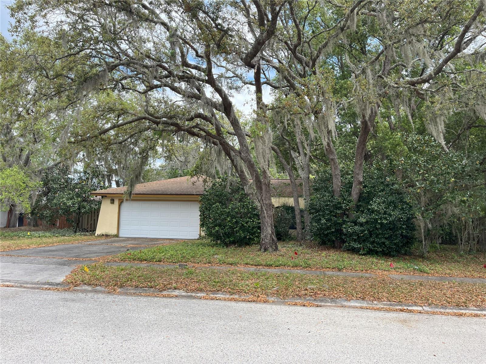 1057 Nodding Pines Way Property Photo