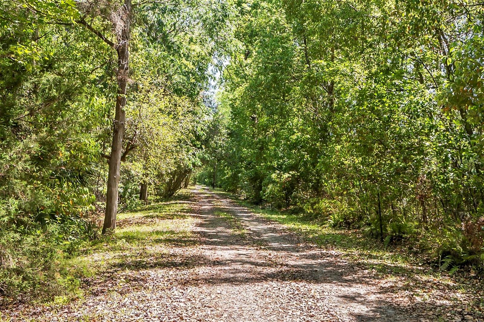 4580 County Road 305 Property Photo 17