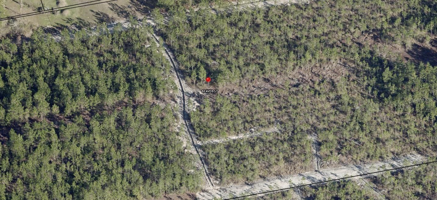 Beaver St Property Photo