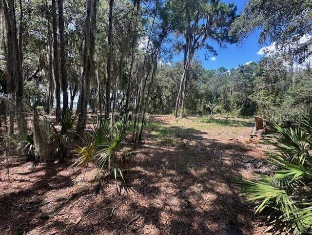 356 Drayton Island Rd Property Photo 33