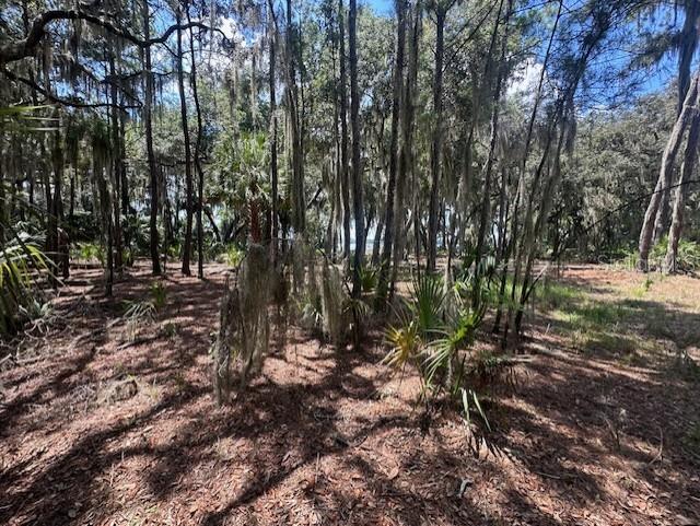 356 Drayton Island Rd Property Photo 34