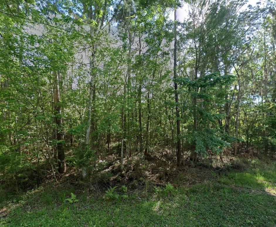 21779 Ne 115th Ave Property Photo 4