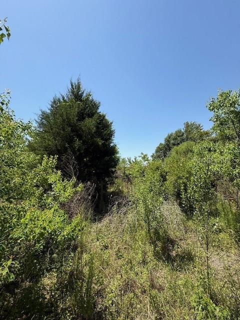 17918 Ne Us Highway 301 Property Photo 1