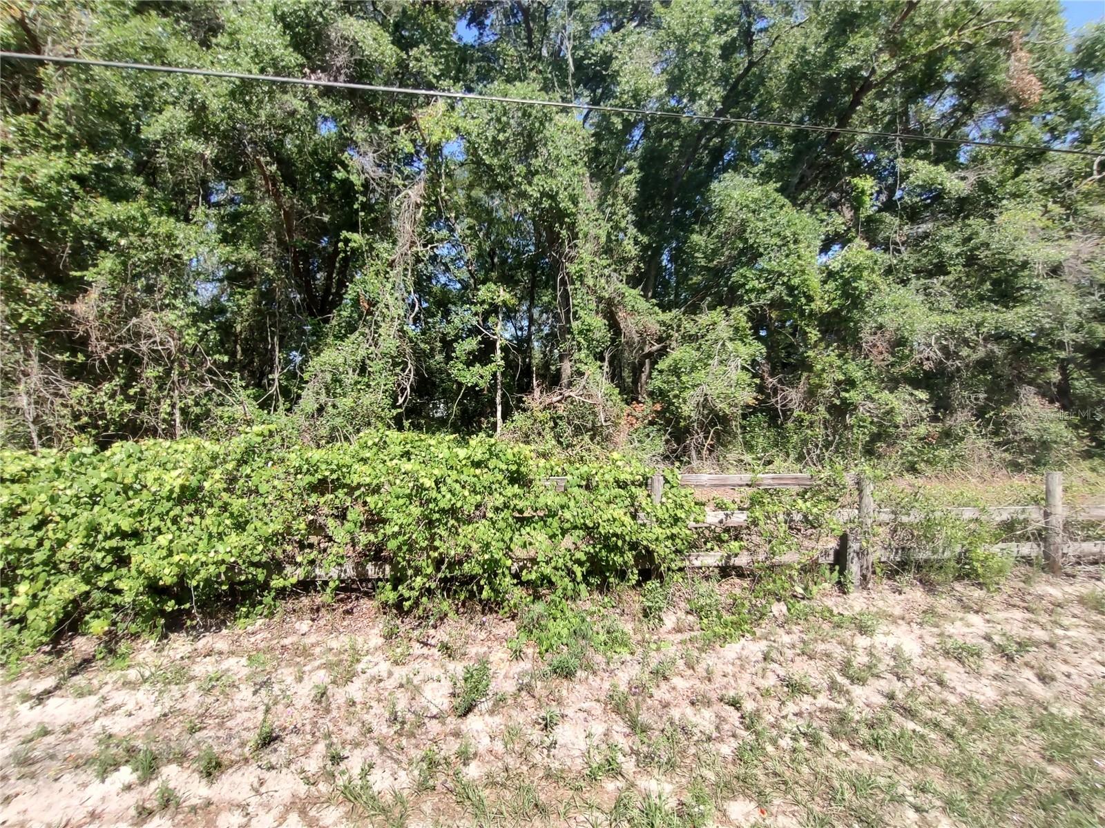 235 County Road 309 Property Photo 1