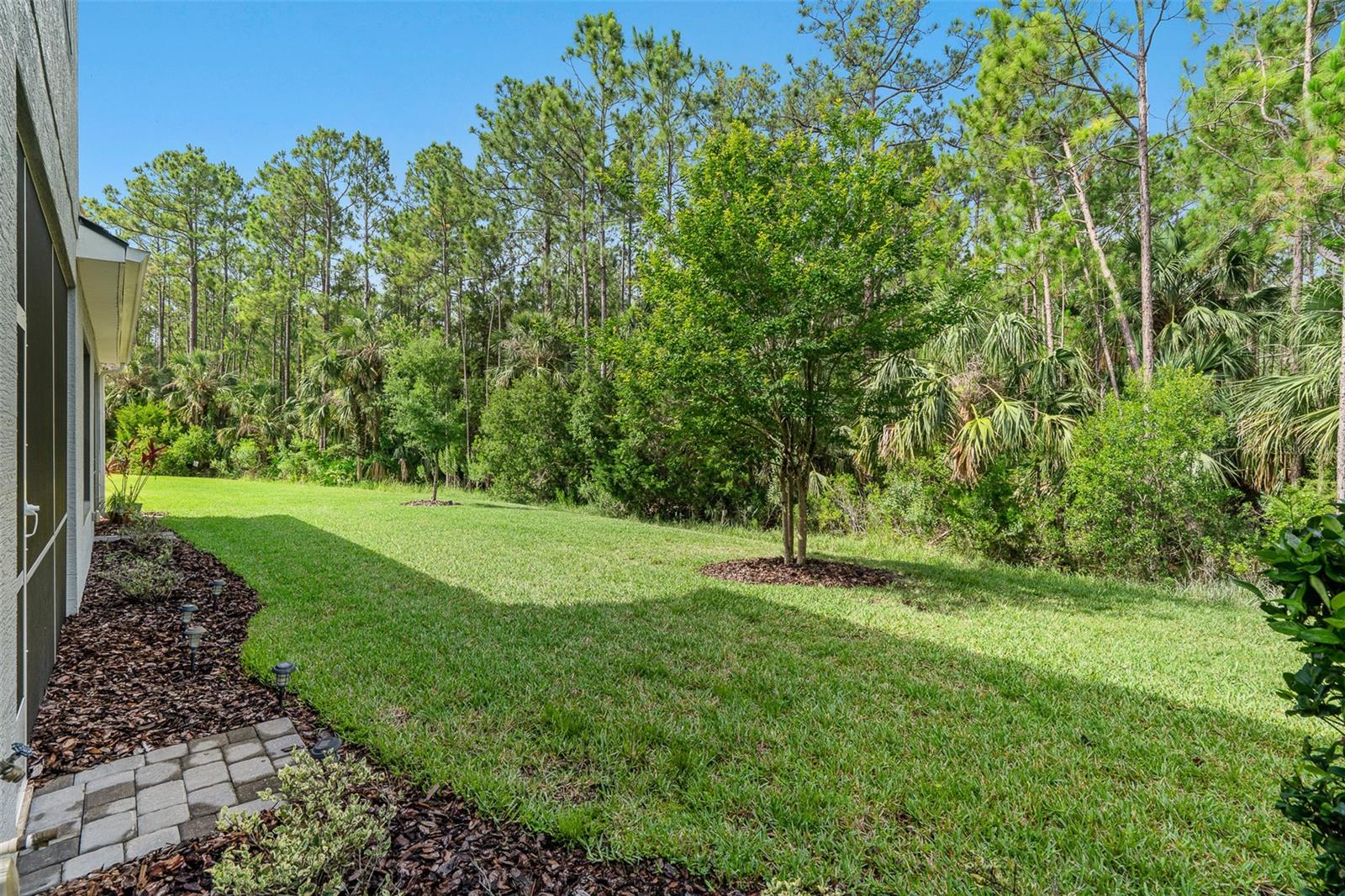 829 Pinewood Dr Property Photo 9