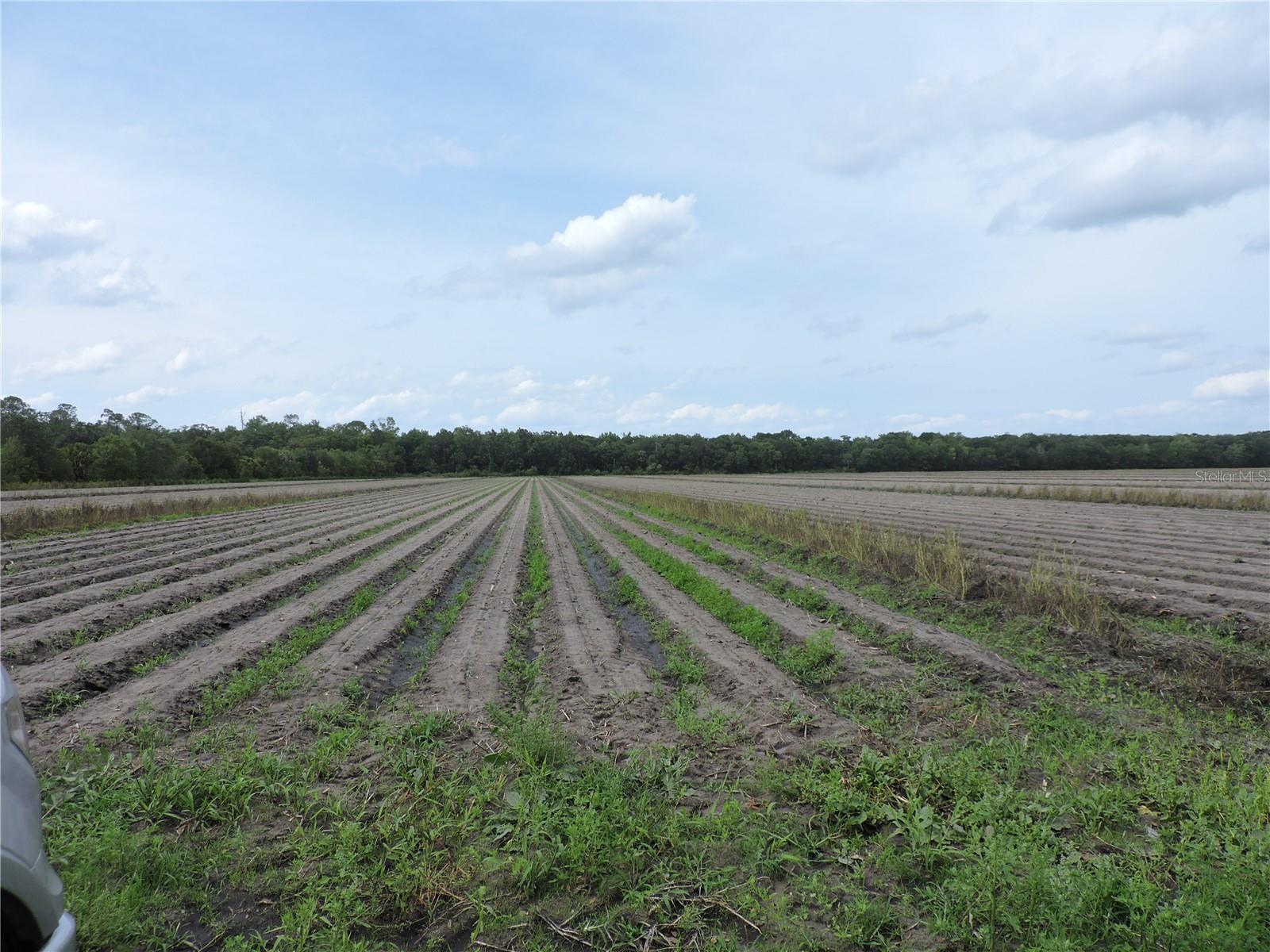 County Road 108 Rd Property Photo 1