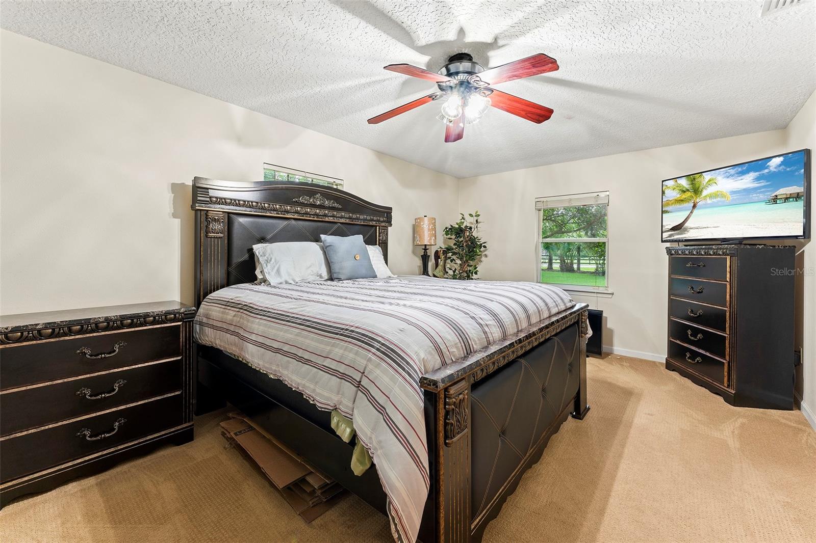 8289 Colee Cove Rd Property Photo 58