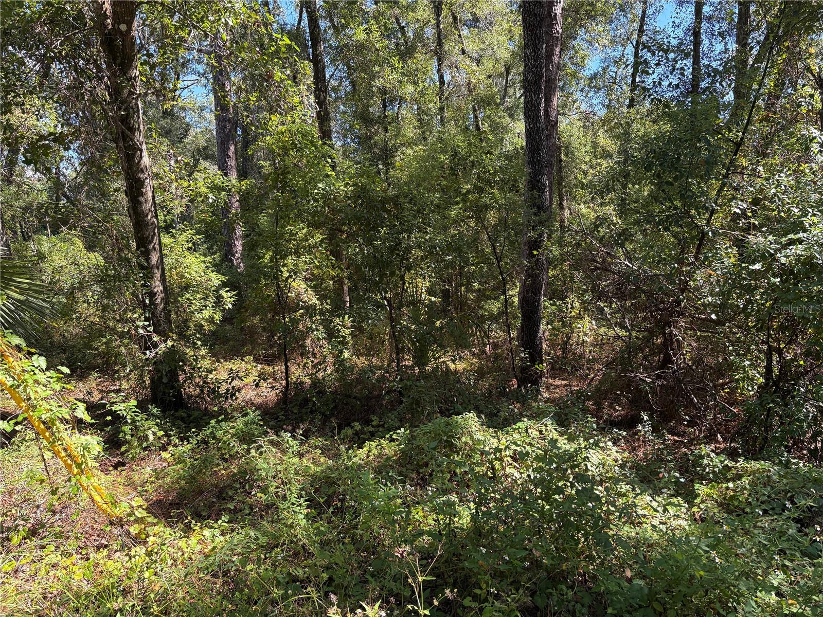 1228 Clover Ter Property Photo 1