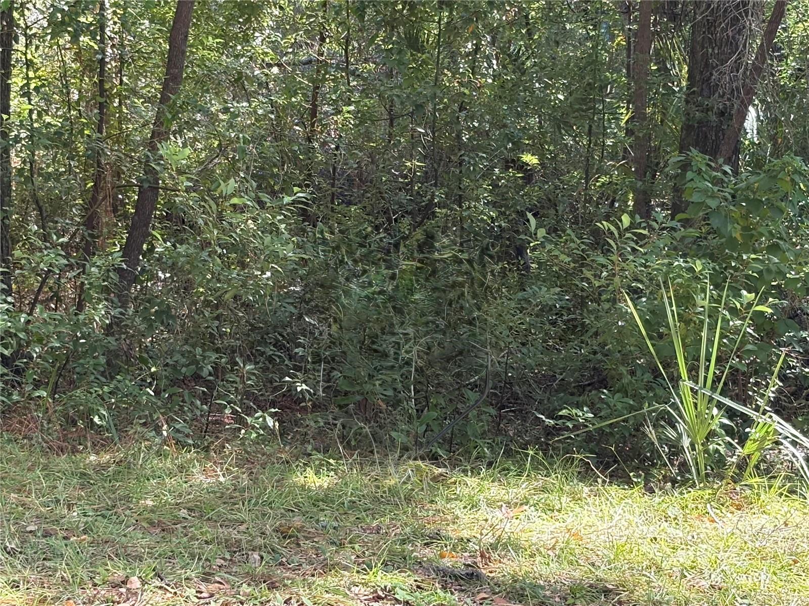1228 Clover Ter Property Photo 2