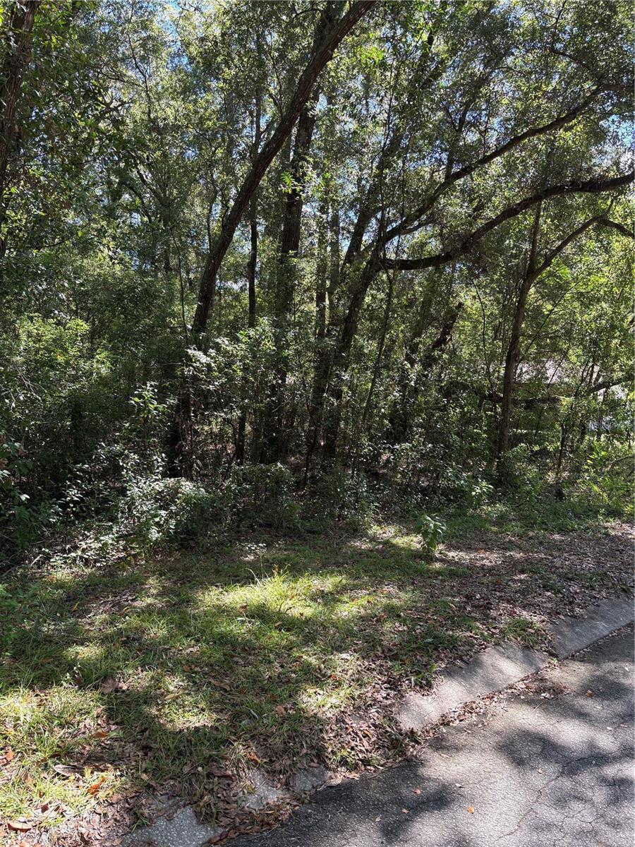 1228 Clover Ter Property Photo 3