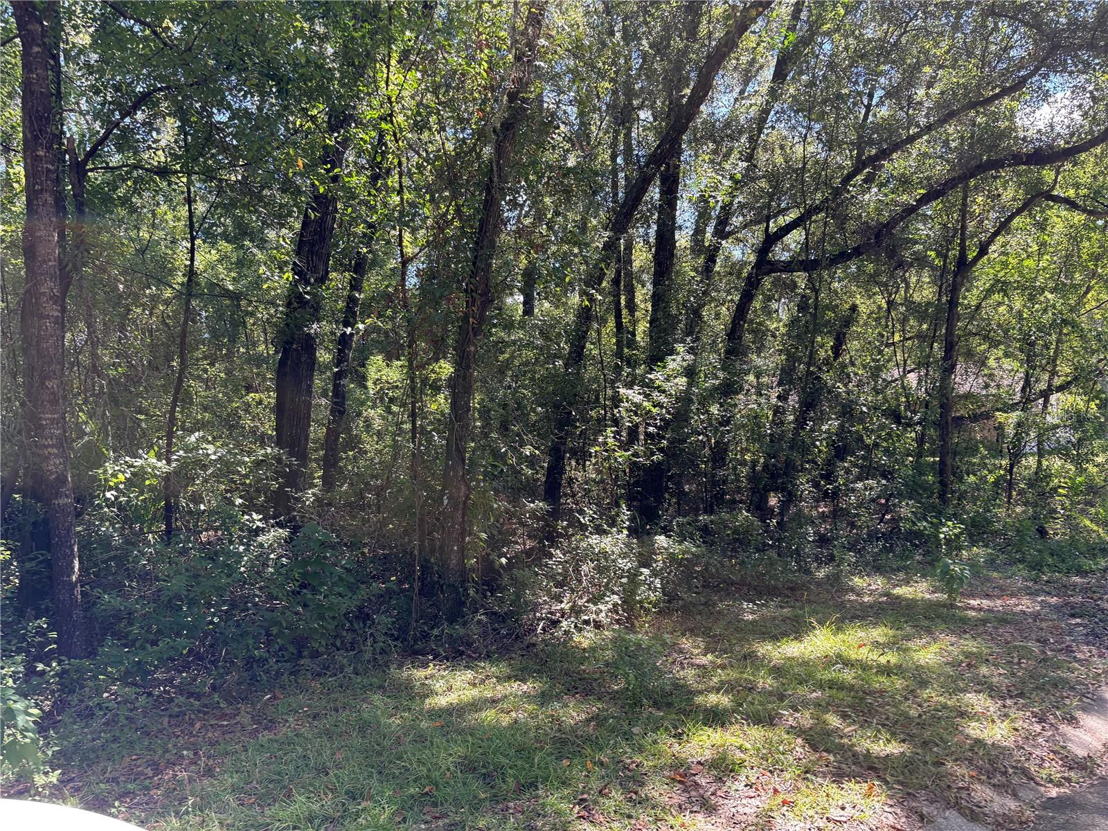 1228 Clover Ter Property Photo 4