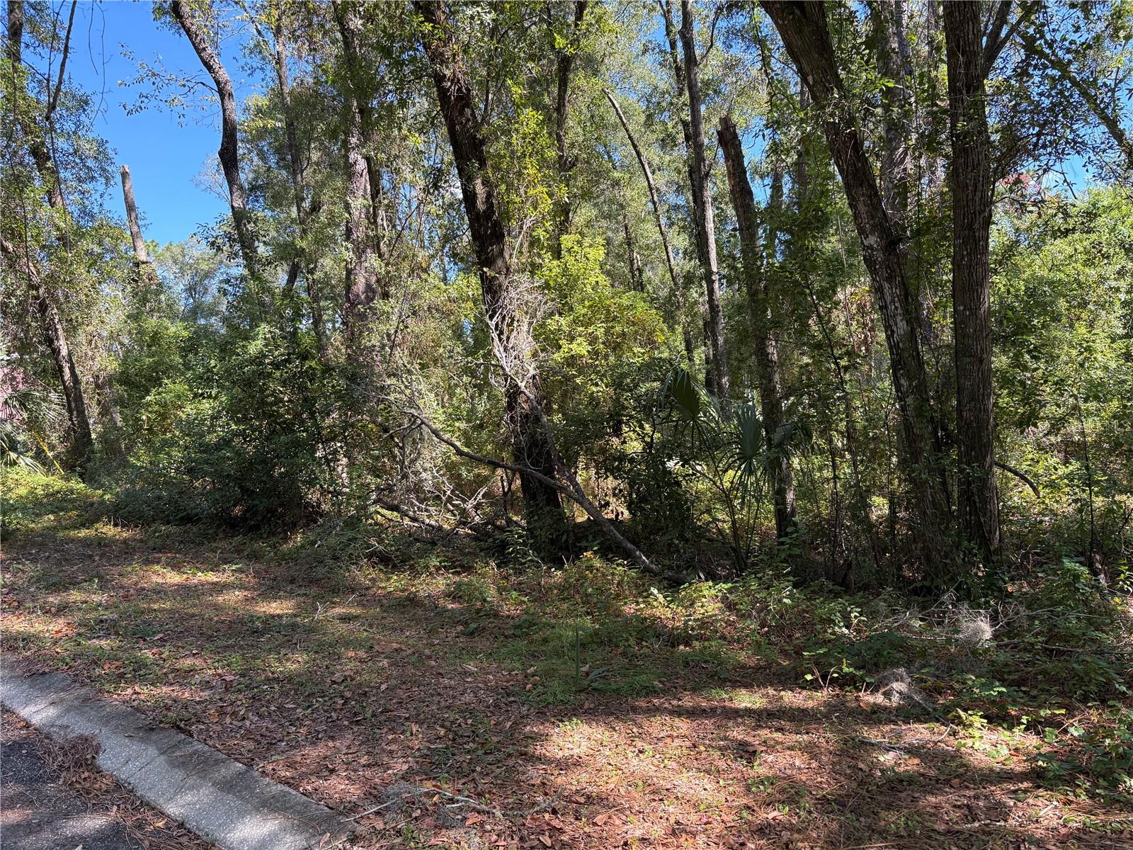 1228 Clover Ter Property Photo 6