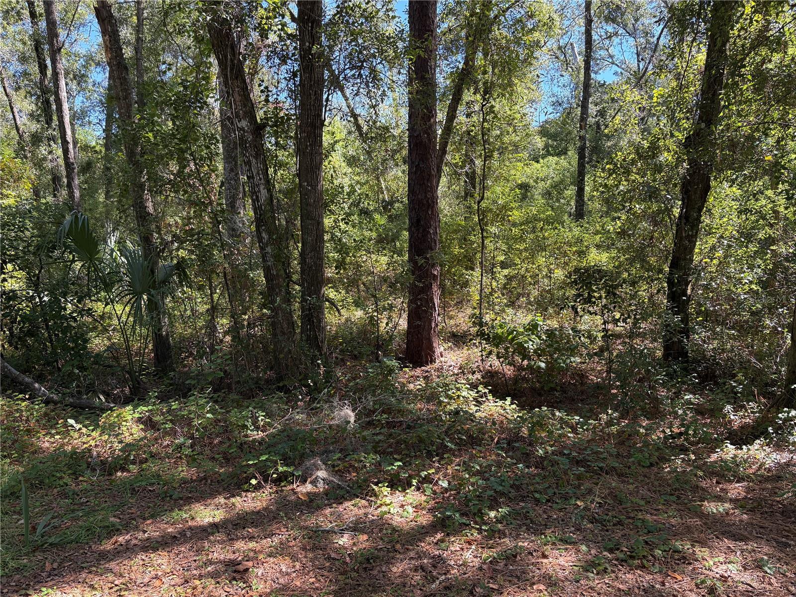 1222 Clover Ter Property Photo 1