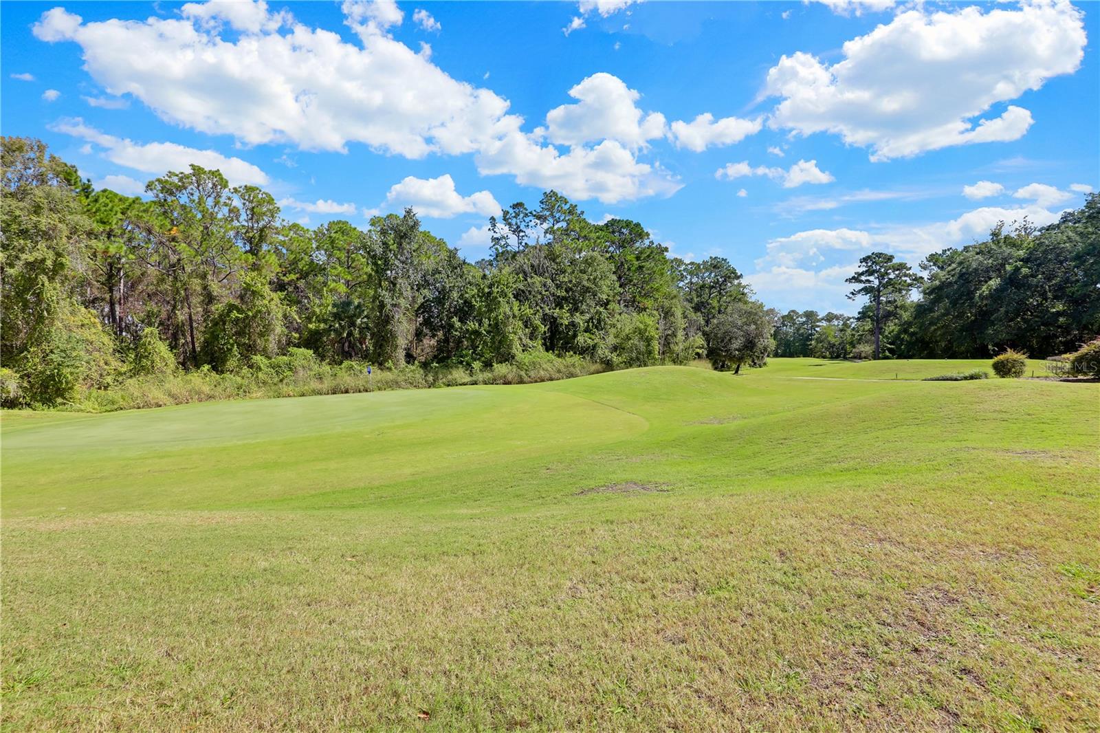 3520 Oglebay Dr Property Photo 55