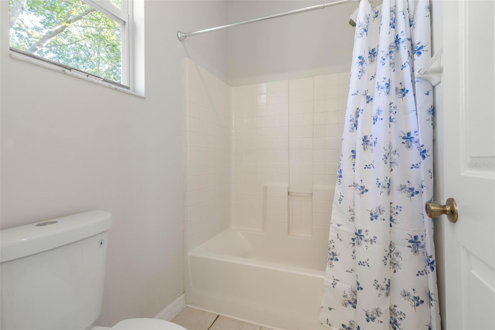 38 Brewster Ln Property Photo 44