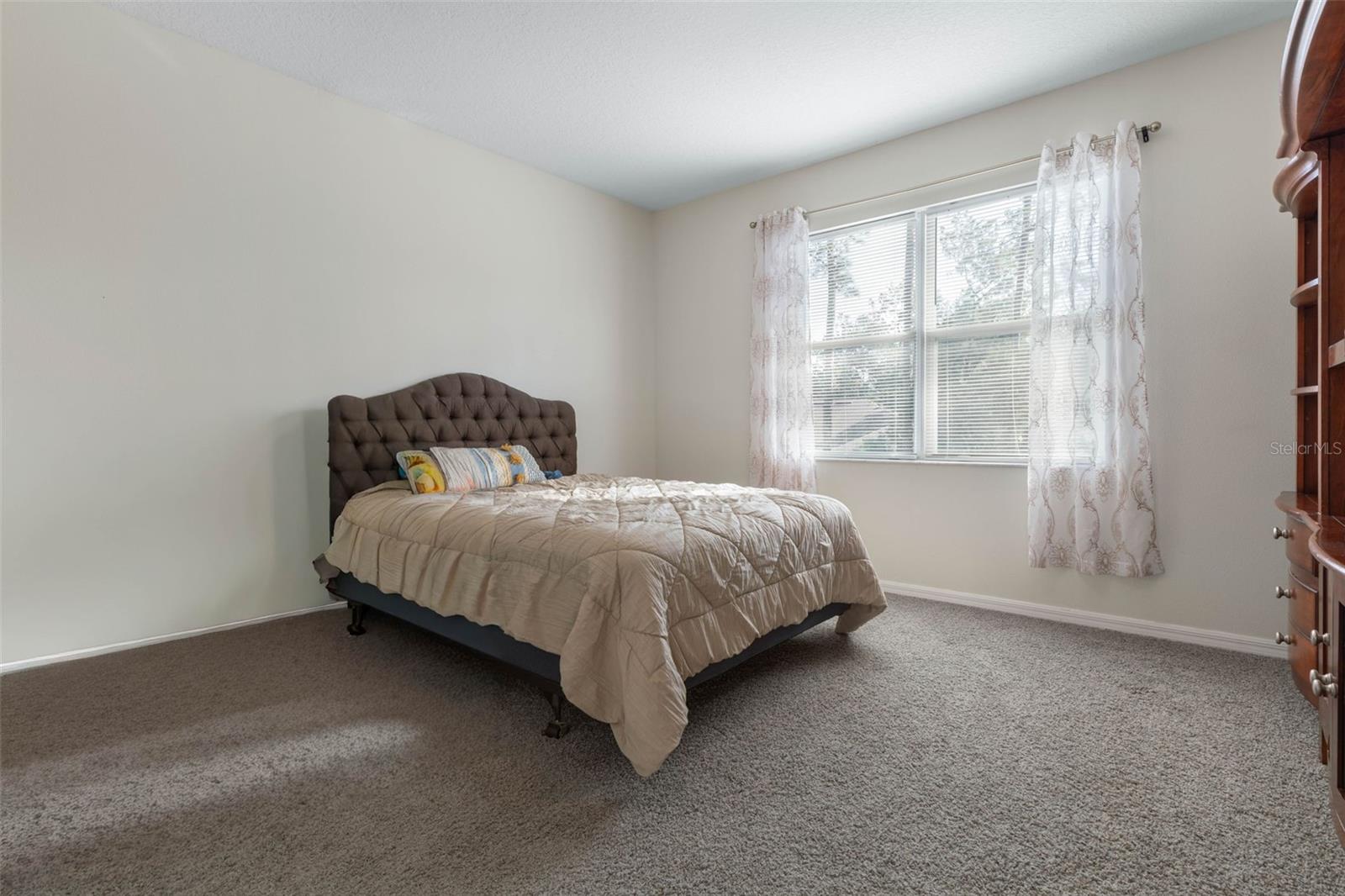 38 Brewster Ln Property Photo 47