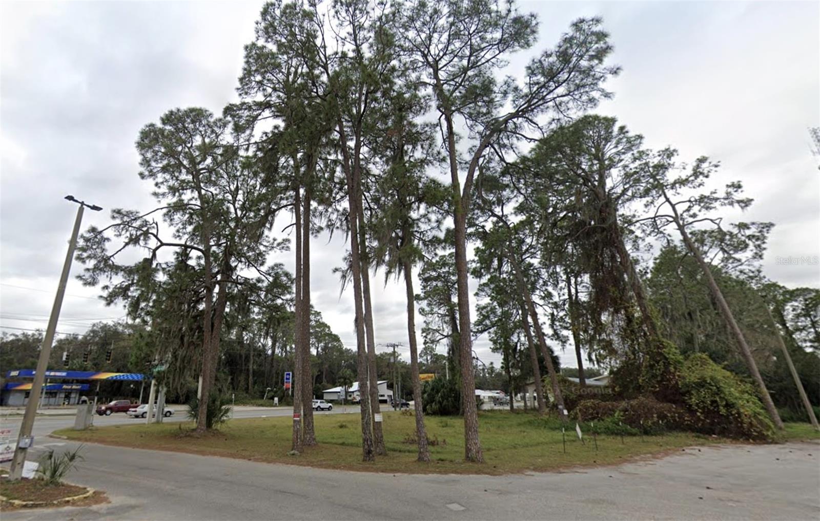 162 S Us Highway 17 Property Photo 13