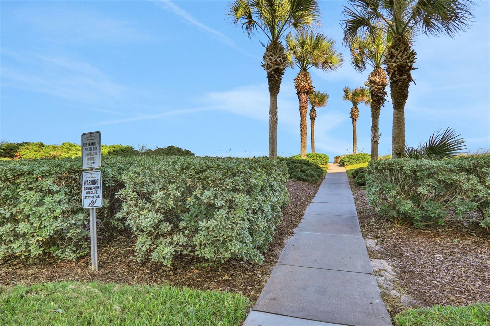 700 Cinnamon Beach Way #624 Property Photo 58