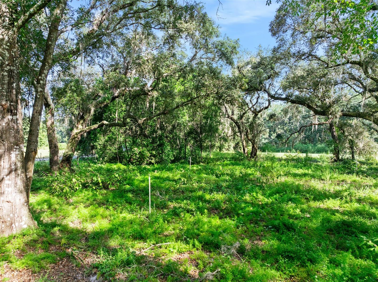 Roberts Rd Property Photo 33
