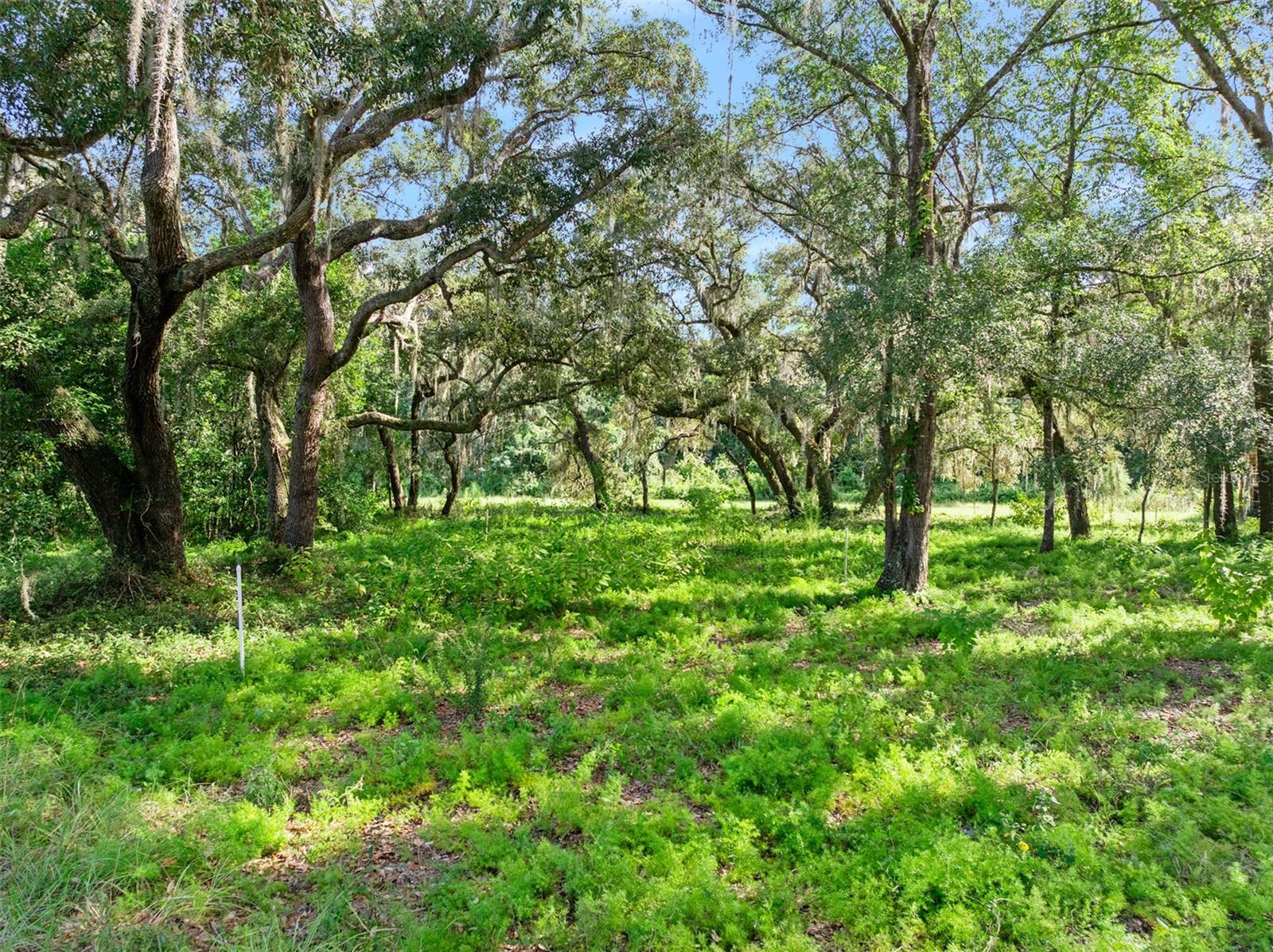 Roberts Rd Property Photo 35
