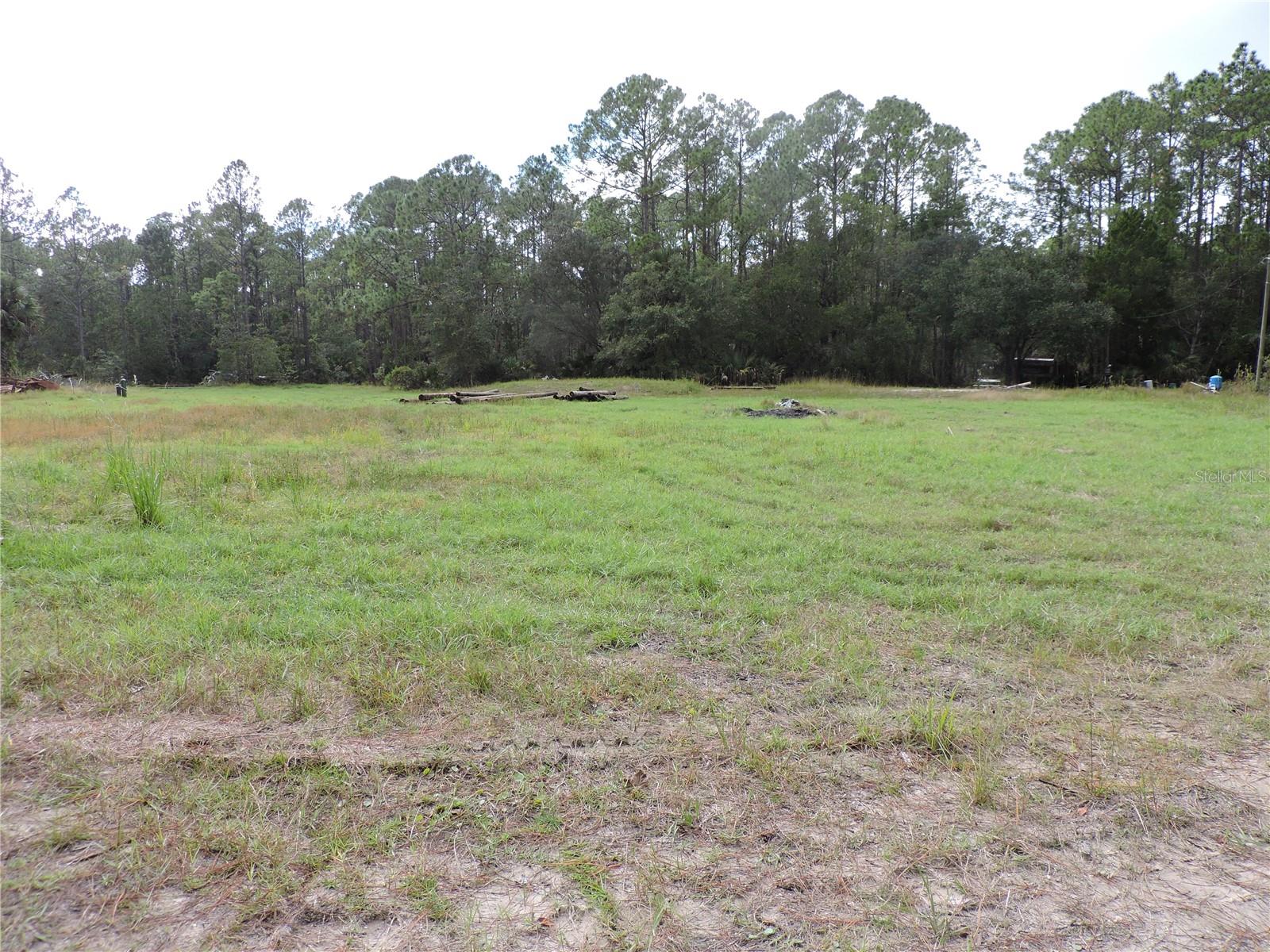 1310 S Hudson Allen Rd Property Photo 1