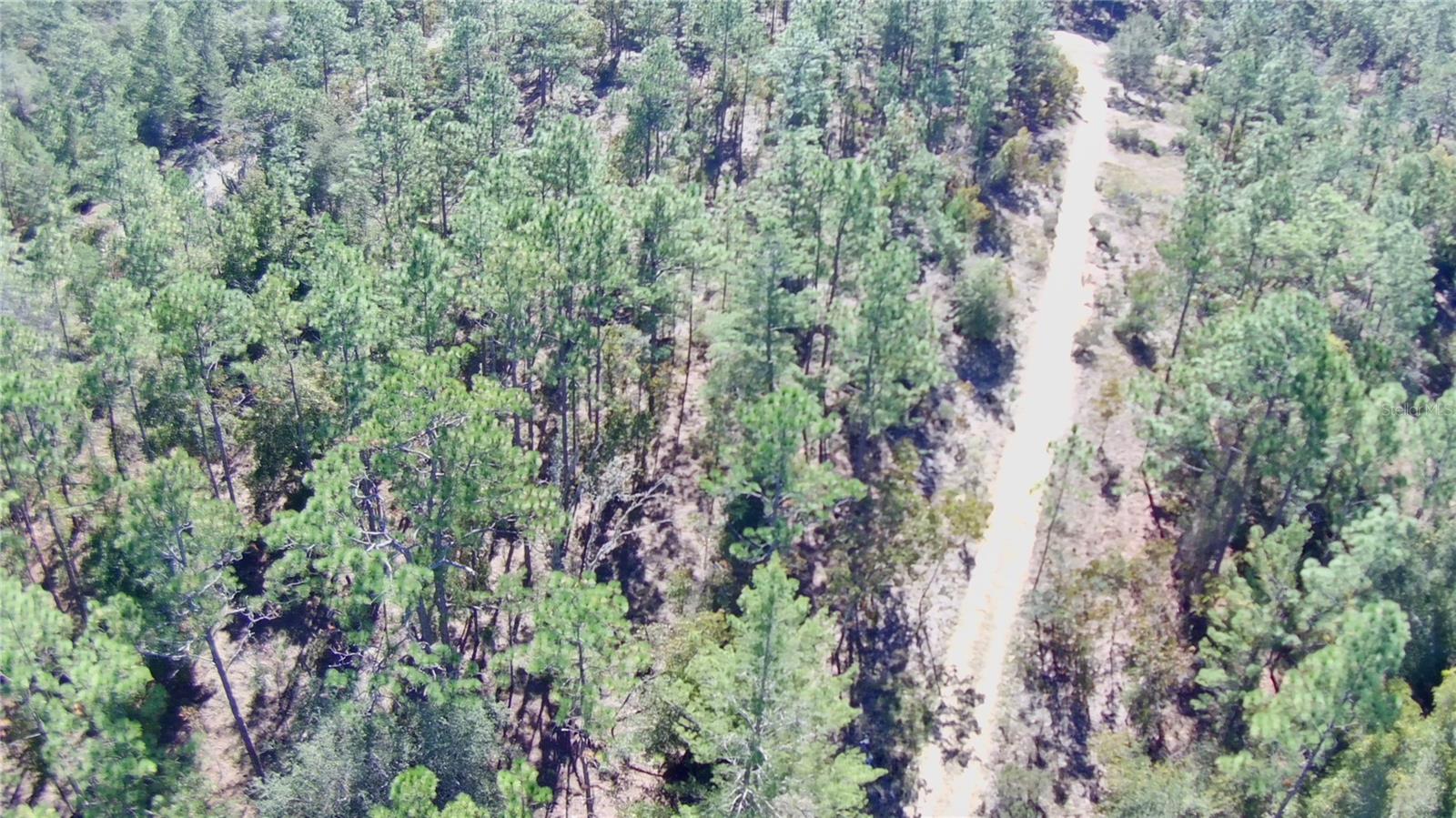 0 Monroe Ave Lot 12-17 Property Photo 4