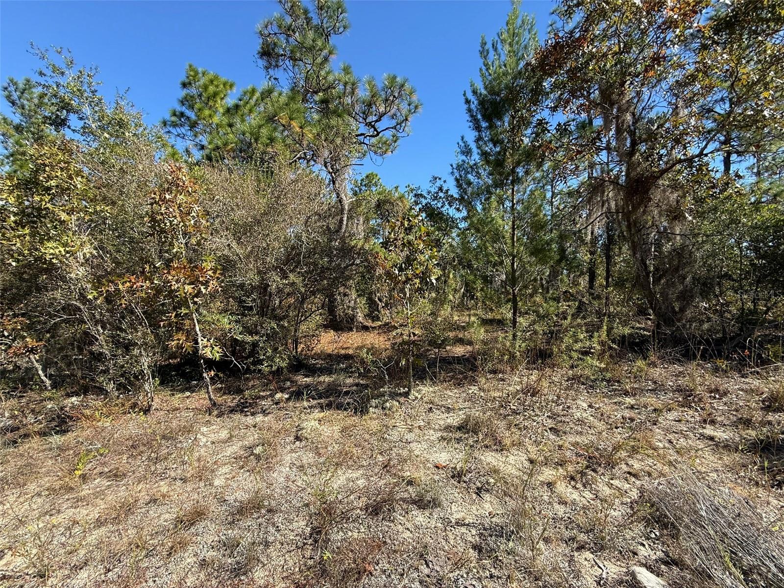 0 Monroe Ave Lot 12-17 Property Photo 5