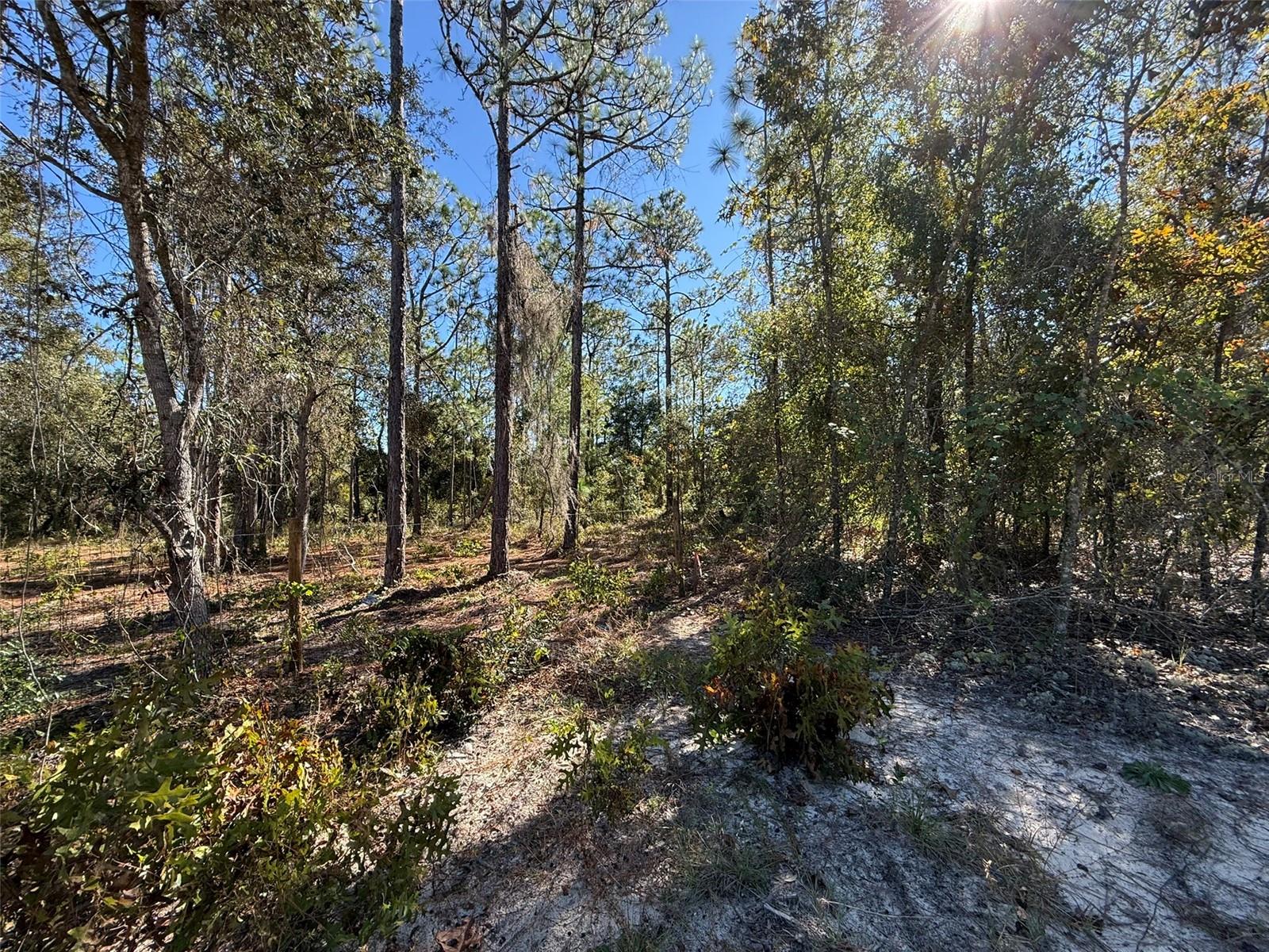 0 Monroe Ave Lot 12-17 Property Photo 6