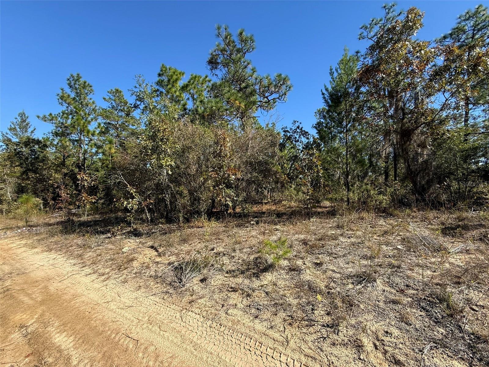 0 Monroe Ave Lot 12-17 Property Photo 7