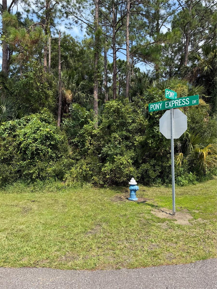 30 Pony Express Dr Property Photo 1