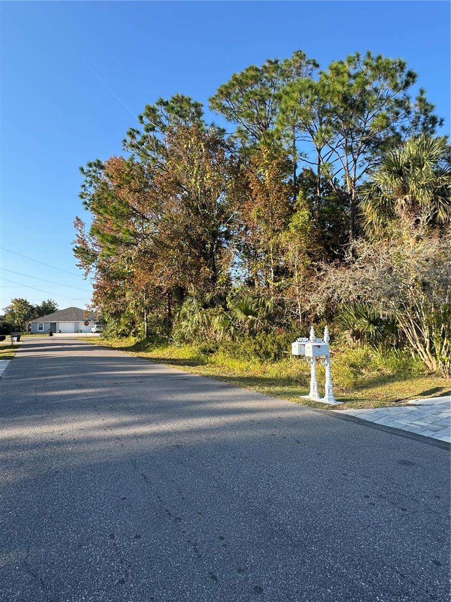 30 Pony Express Dr Property Photo 6
