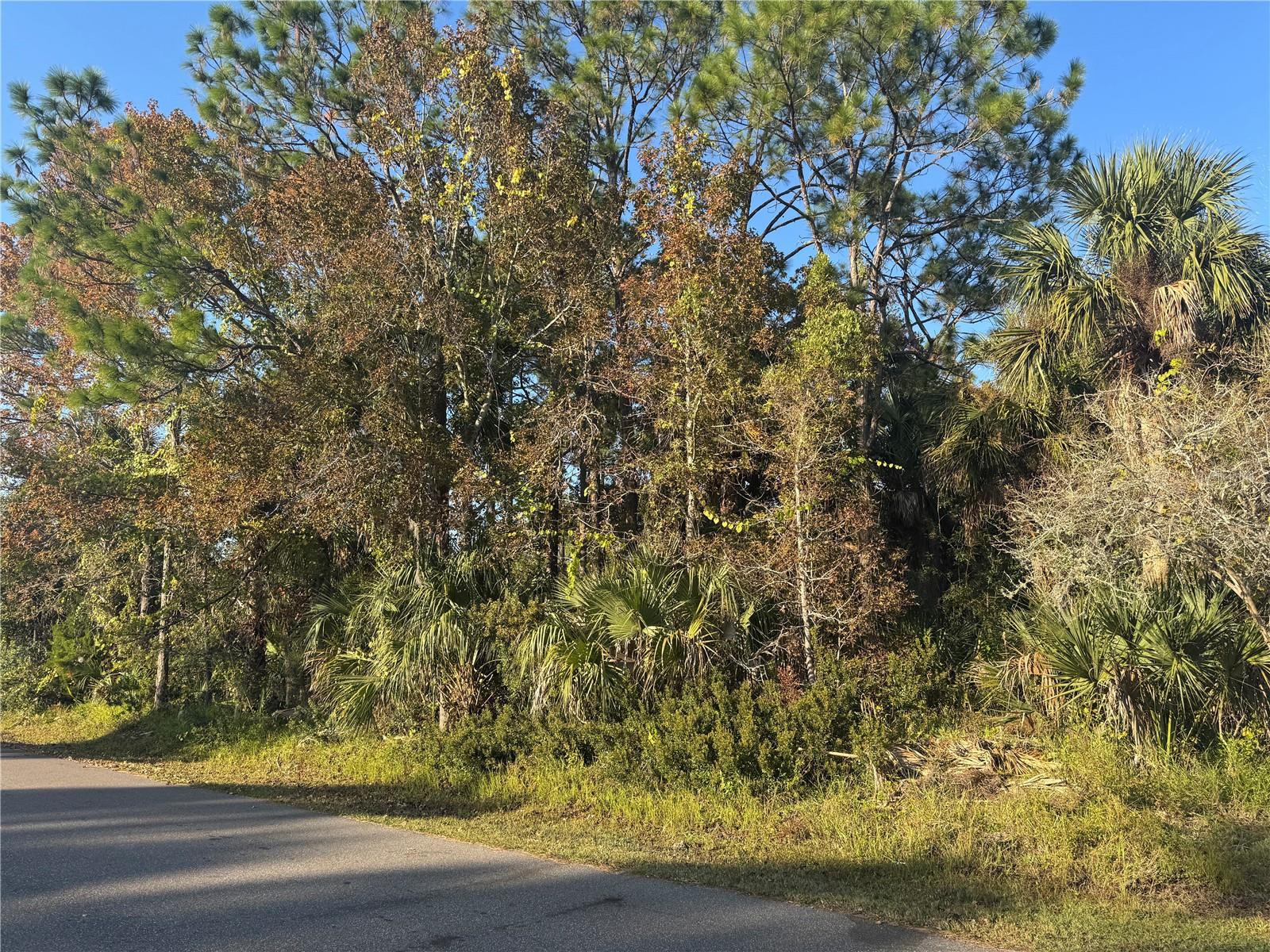 30 Pony Express Dr Property Photo 8