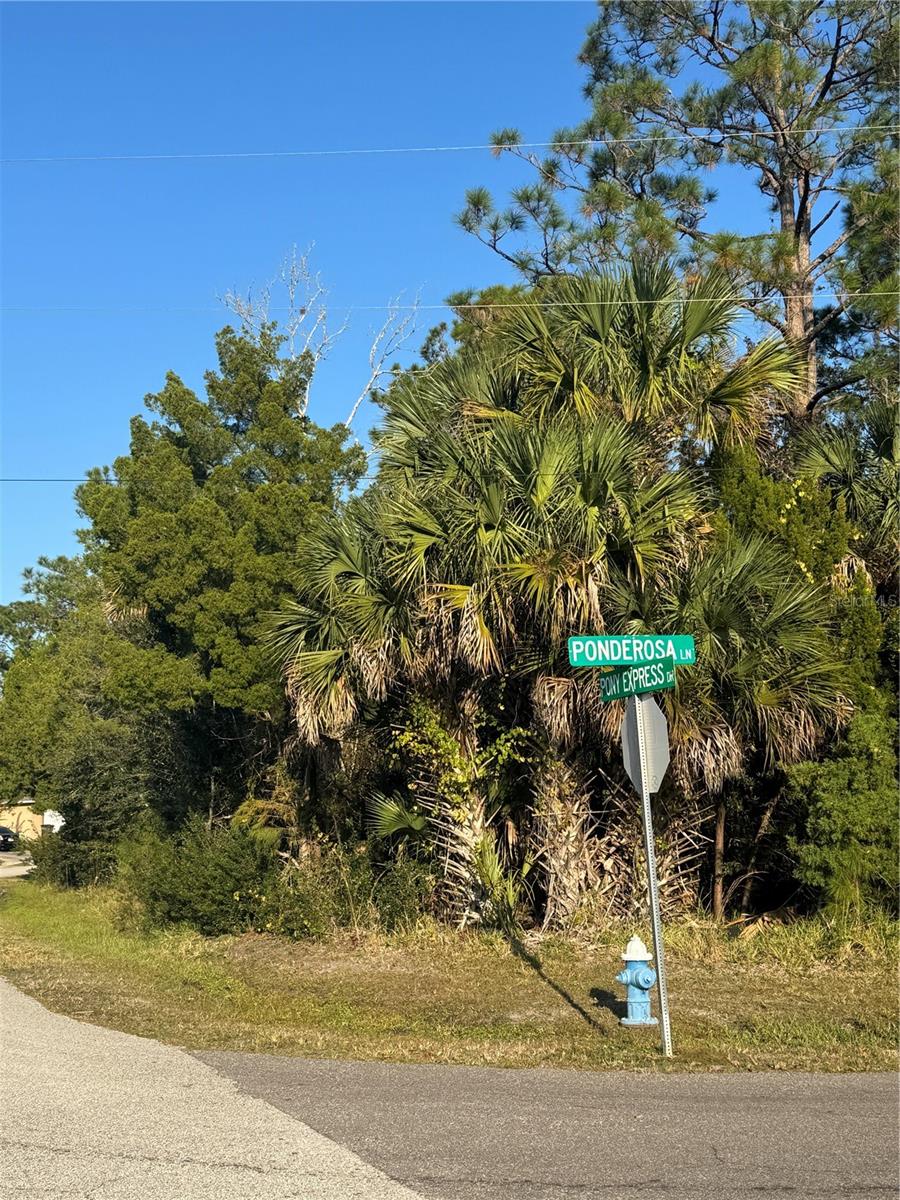 30 Pony Express Dr Property Photo 12