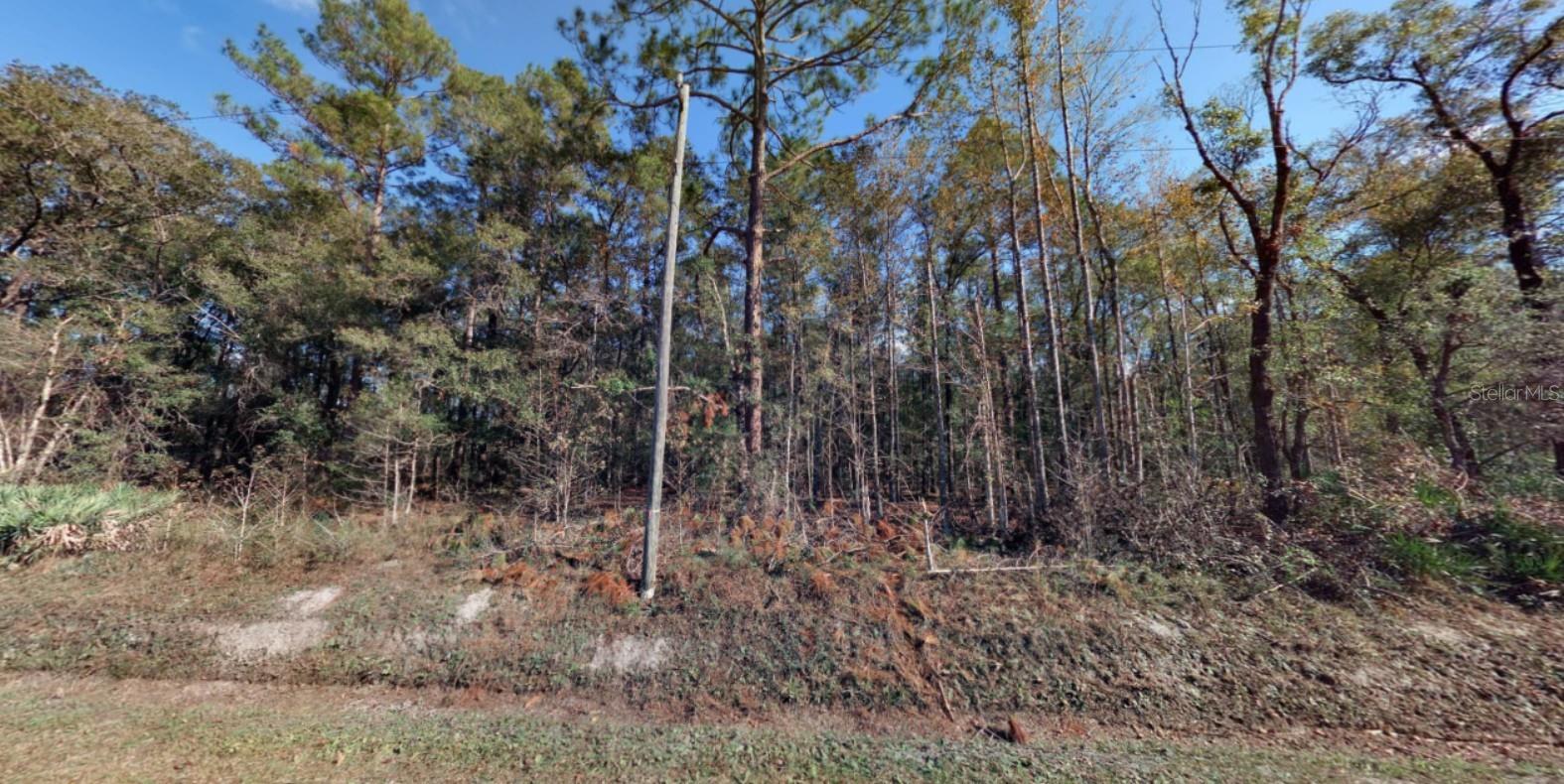 10410 Vaughan Ave Property Photo 1