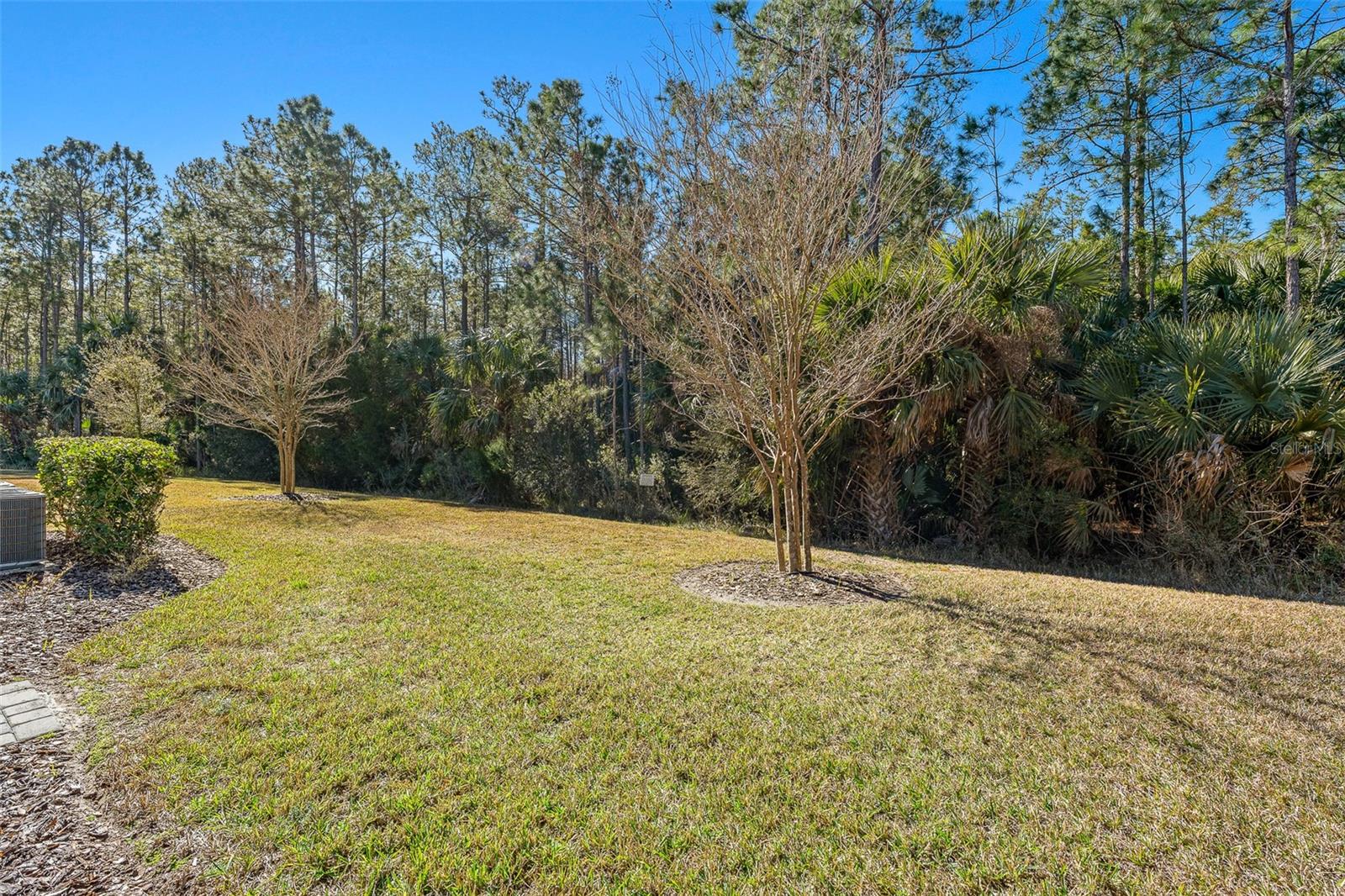 831 Pinewood Dr Property Photo 48