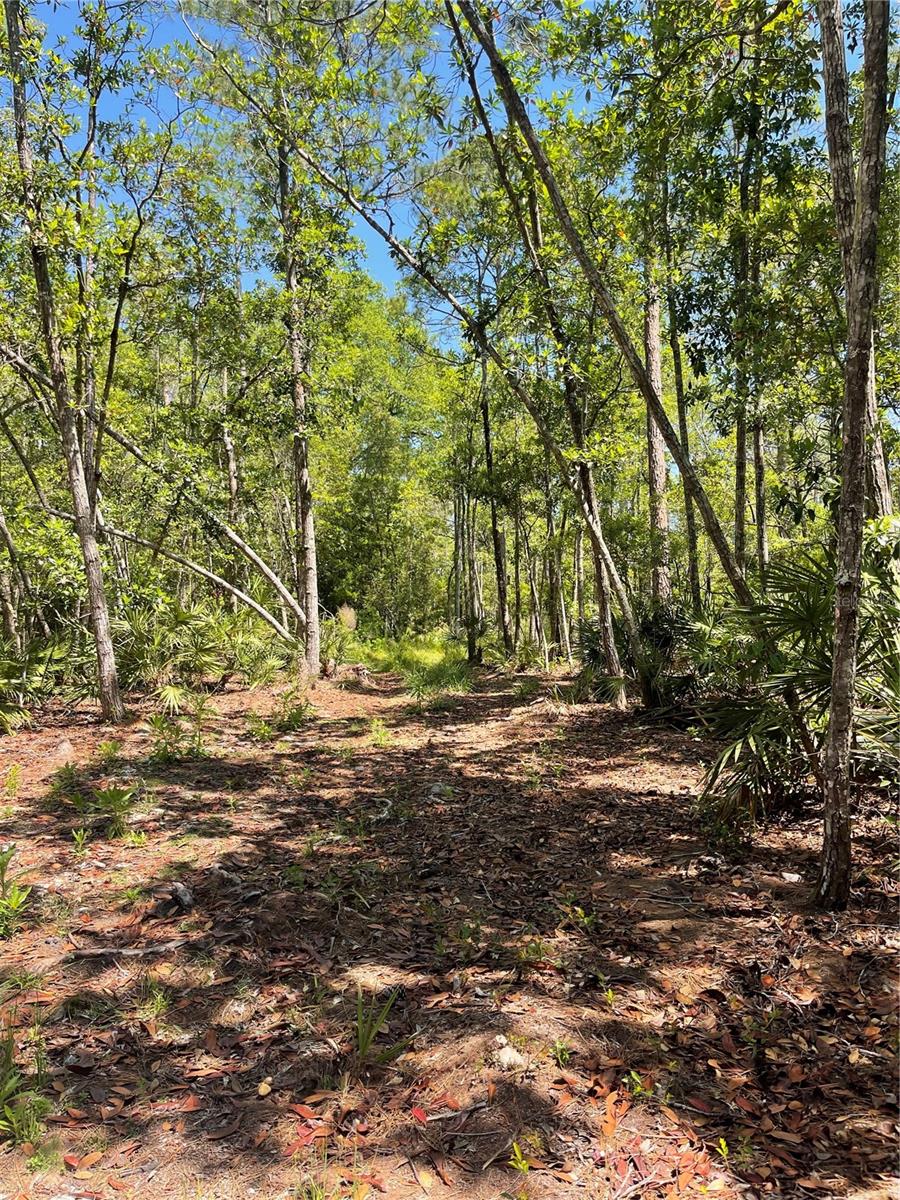 3781 Pine Pitch Ct Property Photo 2