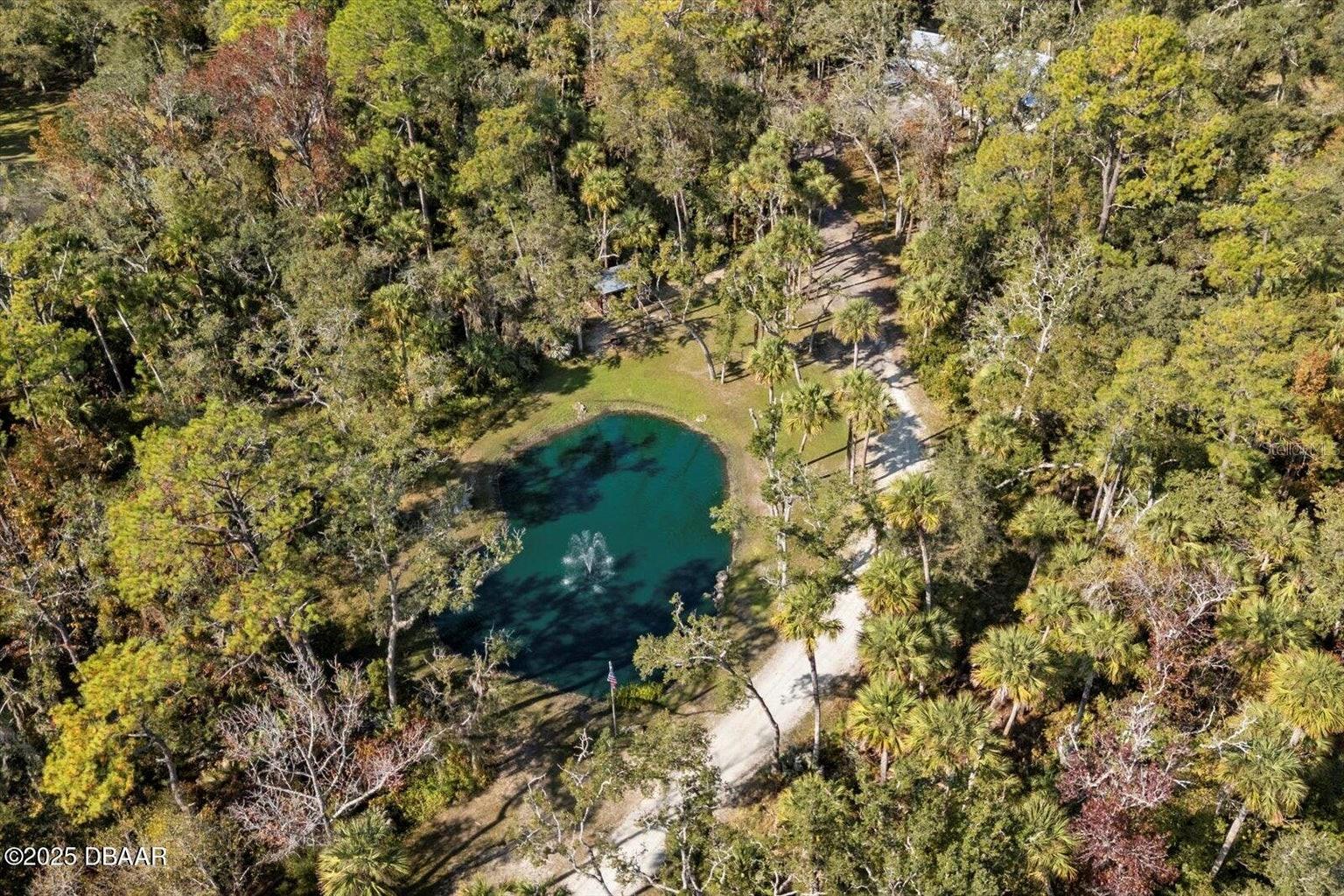 2995 Ragis Rd Property Photo 33