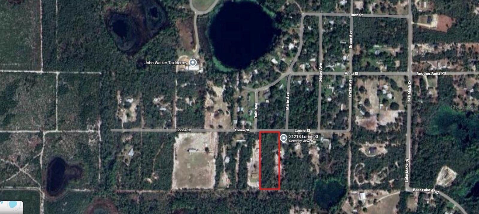 31217 Lorine St Property Photo 2