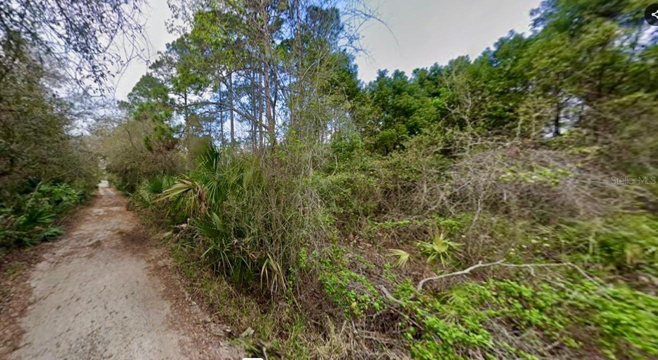 31217 Lorine St Property Photo 4