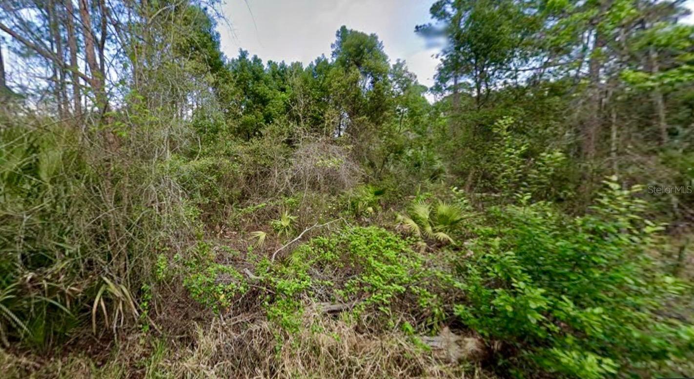 31217 Lorine St Property Photo 5
