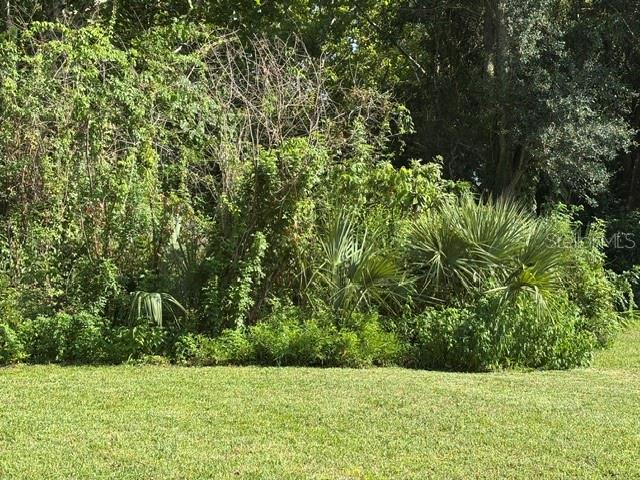 9 Sherrington Dr Property Photo 46