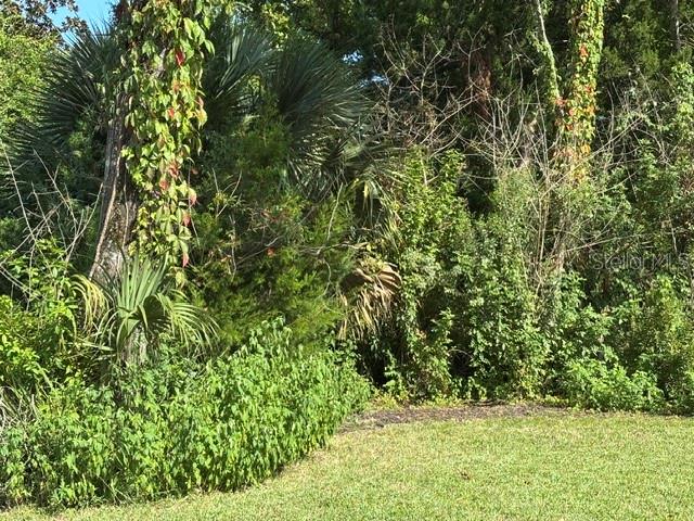 9 Sherrington Dr Property Photo 47