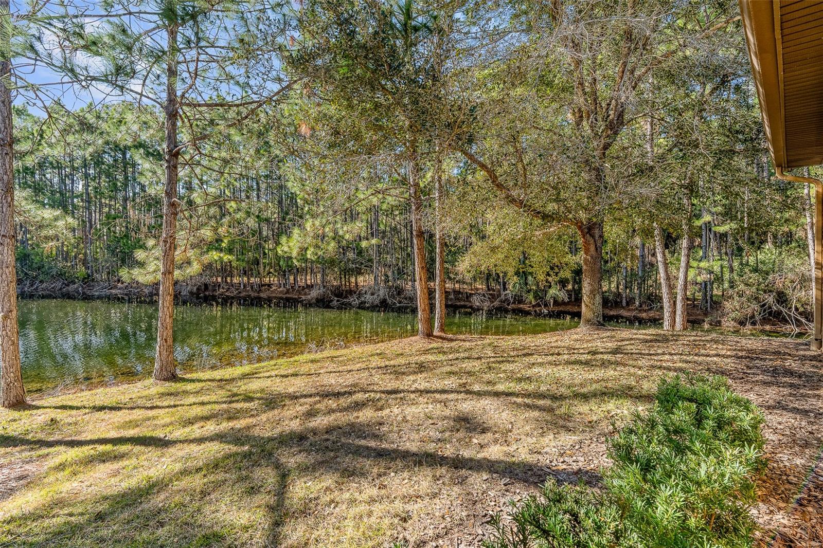 1000 Kilkenny Ln Property Photo 38