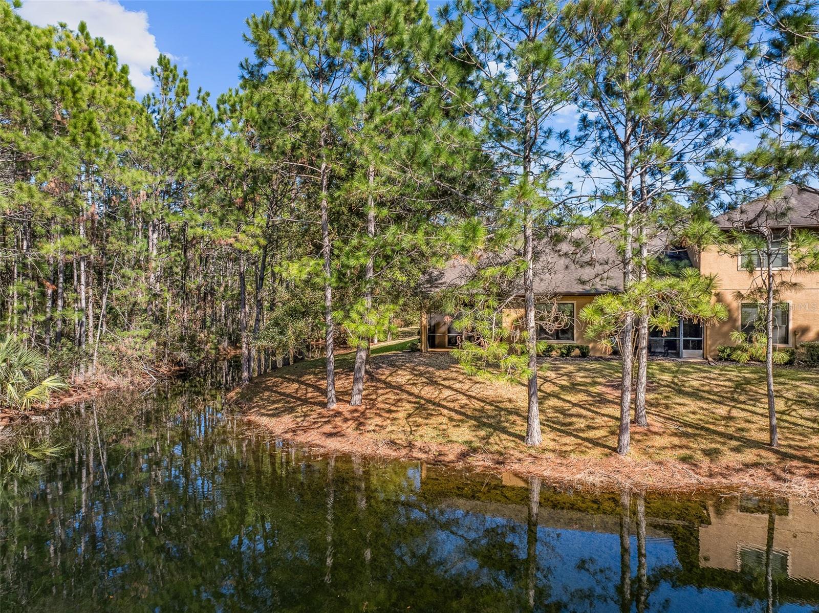 1000 Kilkenny Ln Property Photo 39
