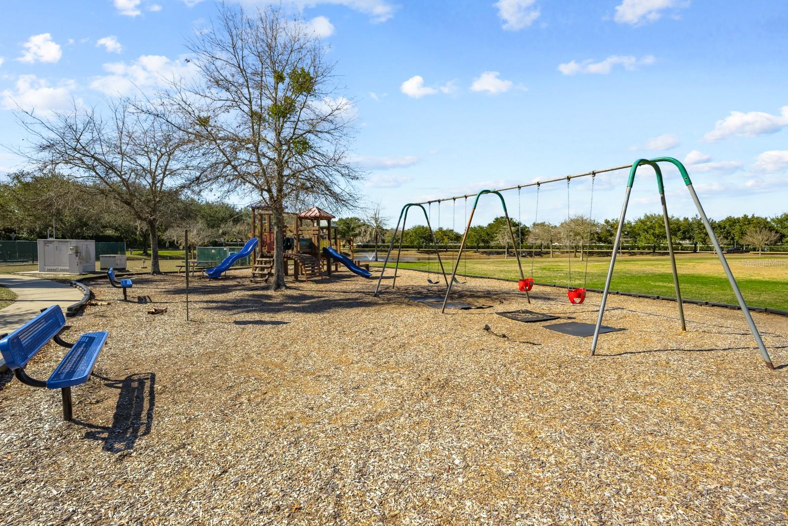 466 Wooded Crossing Cir Property Photo 61