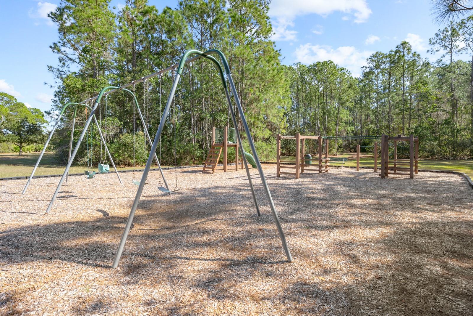 466 Wooded Crossing Cir Property Photo 83