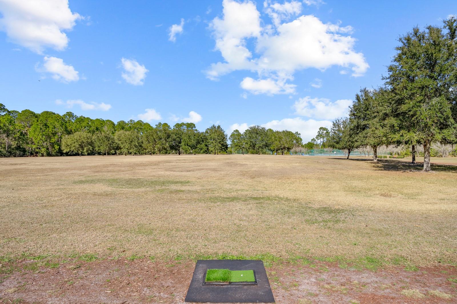 466 Wooded Crossing Cir Property Photo 86